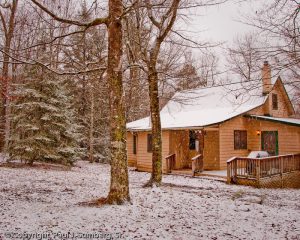 Paulie's Place